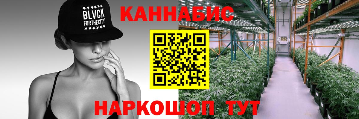 Бошки марихуана LSD WEED  Вход с VPN  Каннабис сатива  МАРИХУАНА тримм  Новоалександровск 